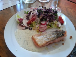 Lachs mit leichtem Knoblauchdressing und Salat