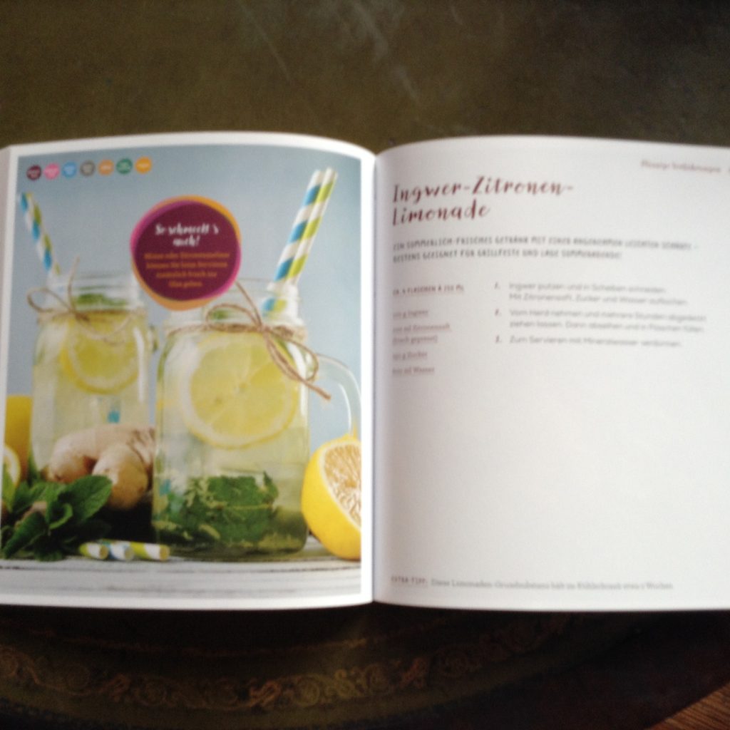 Rezept Ingwer Zitronen-Limonade aus dem Kochbuch "Ich bring was mit"